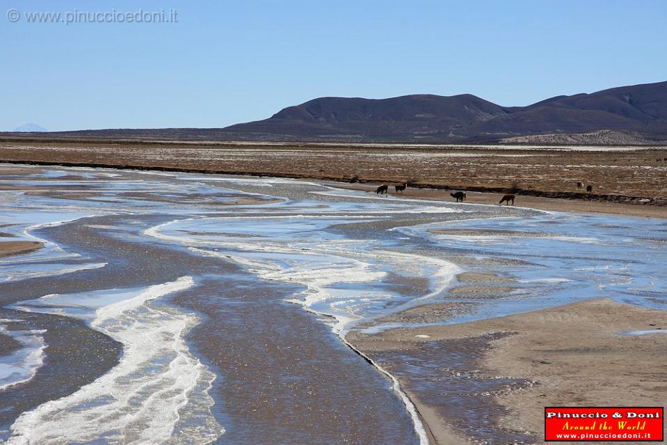 BOLIVIA - Uyuni Villamar - Rio Grande - 4.jpg